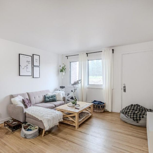 Appartement 3 ½ à louer Sainte-Foy / Sillery juillet 2026 - Photo 1