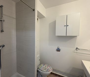 Location Appartement 1 pièce 29m² PALAISEAU 91120 - Photo 3