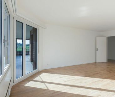 Grosszügige 5.5 Zimmerwohnung in Aesch - Photo 1
