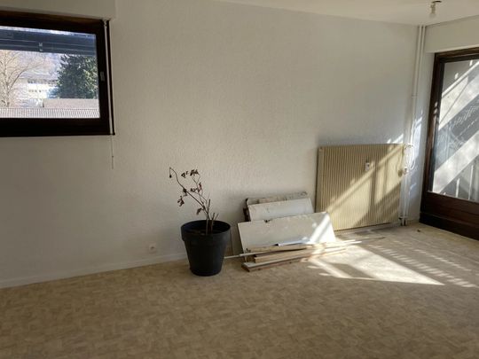 Location Appartement 2 pièces 55m² SALLANCHES 74700 - Photo 1