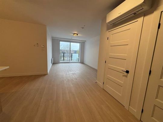 430 Boul. du Bord de l'Eau - Photo 1