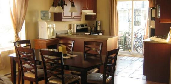 LOGEMENT À LOUER 5 ½, ST-LIN-LAURENTIDES - Photo 2