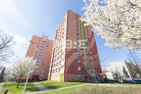 Pronájem bytu 1+kk a garsoniéry 32 m² - Photo 5