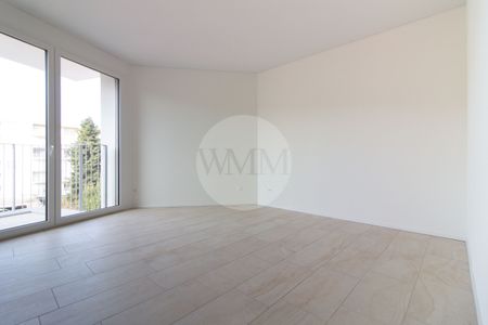 3.5 MODERN LOCALS IN VIGANELLO - Photo 3