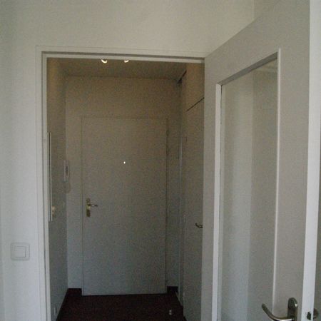Location Appartement 1 pièce 26m² - Photo 3