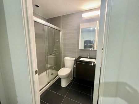 For Lease - 501 Adelaide Street Unit# 310, Toronto, Ontario - Photo 4