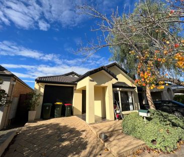 8 Plover Street, Mawson Lakes SA 5095 - Photo 6