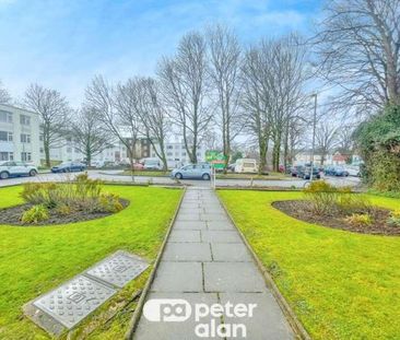 Lime Trees, Llanishen Court, CF14 - Photo 5