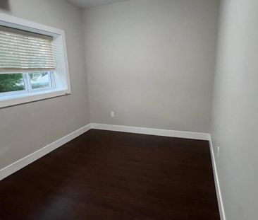 25482 Godwin Drive, Maple Ridge (Basement) - Photo 3