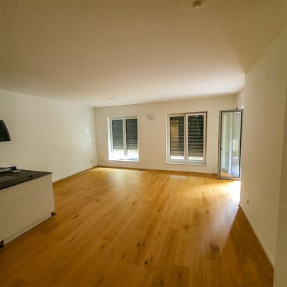 Hochwertige 4-Zimmer-Wohnung in modernem Mehrparteienhaus zu vermieten - Foto 1