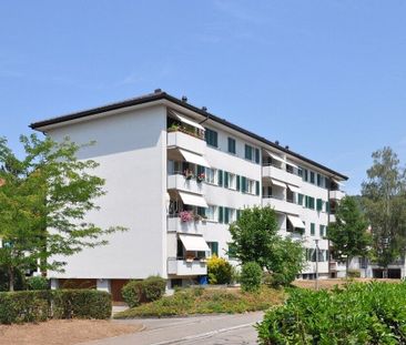 Modernes Wohnen in Glattfelden - Foto 1