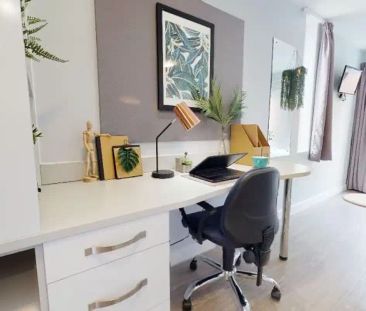 Bronze Studio Plus - Photo 2