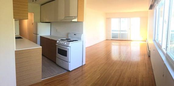 Renovated 2 Br+2 full bath Suite in Kitsilano! - Photo 2