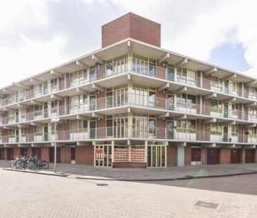 Amerbos 0ong, 1025 Amsterdam, Nederland - Foto 4