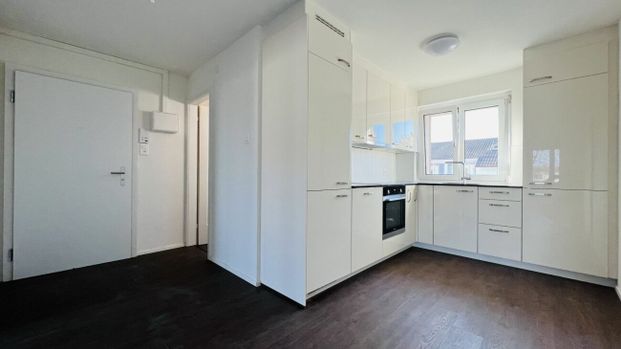 Neubau, Zweitbezug 3-Zimmerwohnungen mit Balkon und Keller - Foto 1