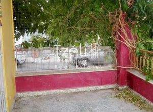 Μονοκατοικία για ενοικίαση - Βύρωνας, - Photo 5