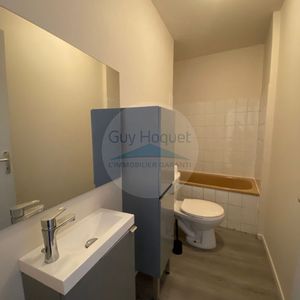 T2 meublé à louer sur PAU (64000) - Photo 3