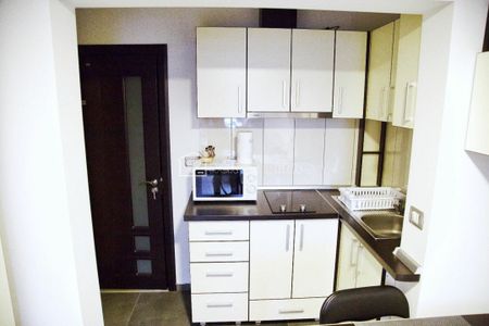 Apartament cu 1 camere, dispus pe 2 niveluri, finisat, mobilat si utilat ! - Fotografie 2