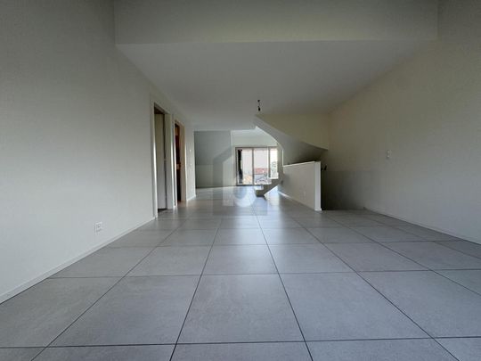 PRIX TOP ! SPACIEUX DUPLEX DE HAUT STANDING - Photo 1