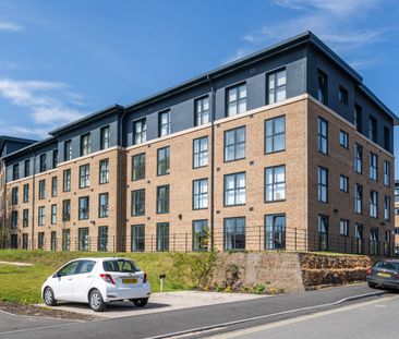 Erasmus Drive - Photo 2