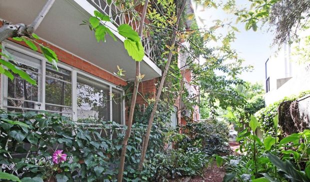 3/123 Millswyn Street, South Yarra VIC 3141 - Apartment For Rent | Domain - Photo 1