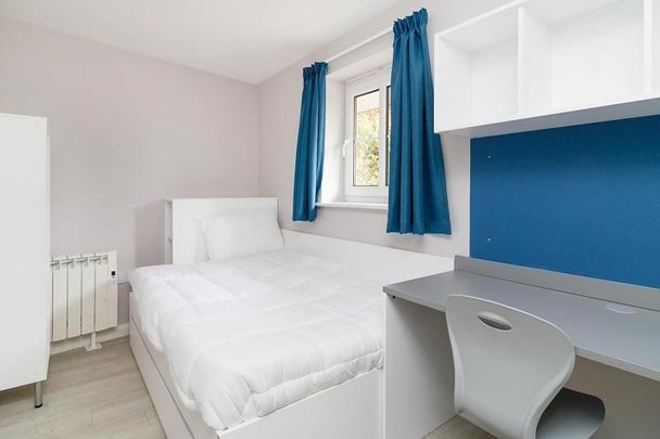 4 bedroom apartment to rent - Photo 1