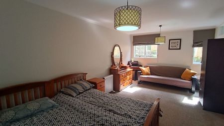 Charming 1BR 1 Living Room Home with Garden! - Photo 2