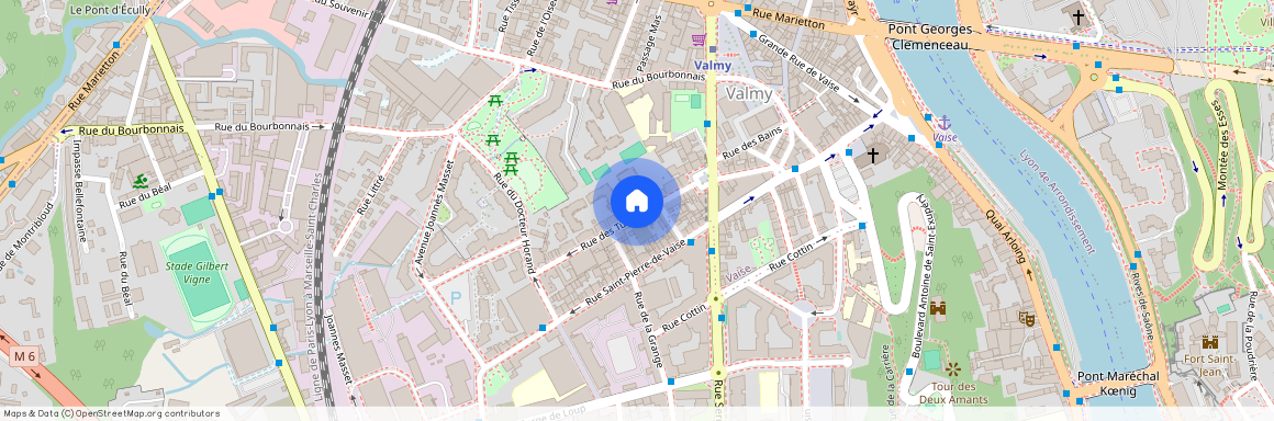 14 rue des Tuileries, LYON 9, 69009