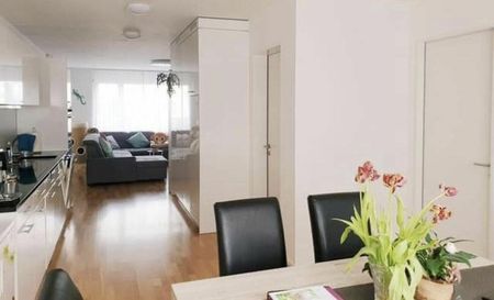 3.5 Zimmer Wohnung - Foto 4