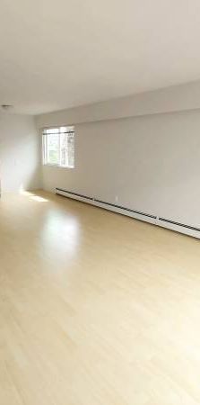 Kitsilano 1bdrm 2 blocks from beach avail now - Photo 1