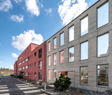 Great single apartment is looking for you! - Photo 1