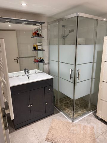 Appartement en duplex de 50 m2 - Photo 3