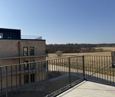 Kobbervej 4 2mf - Foto 6
