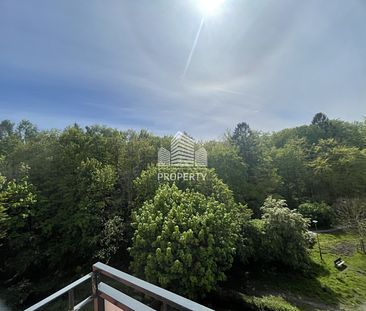 Słoneczne 2 Pokoje Balkon Las | Gdynia Witomino - Zdjęcie 3
