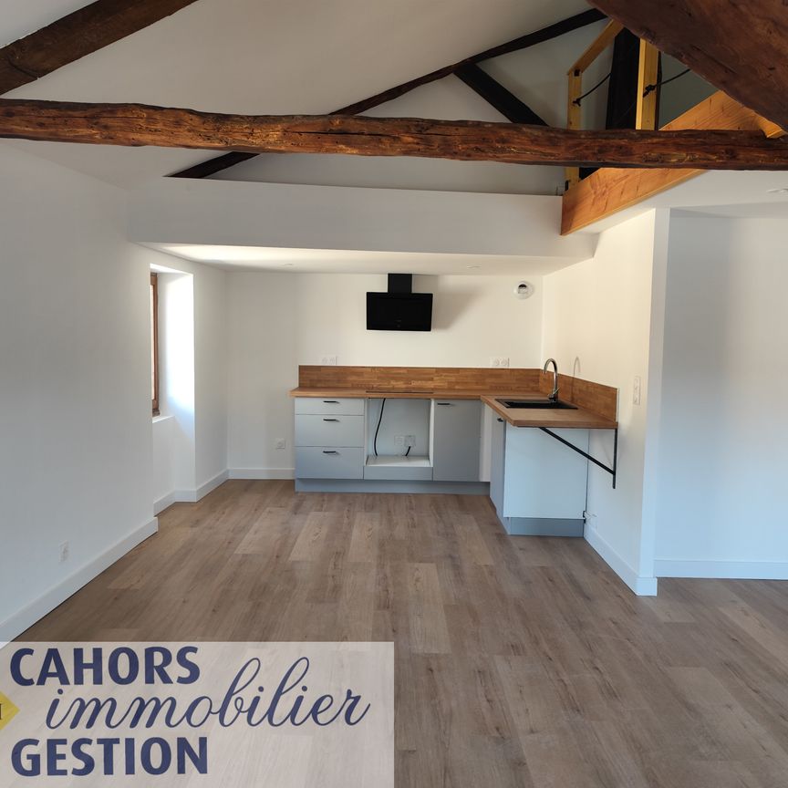 Location Appartement 1 pièce 41m² CAHORS 46000 - Photo 1