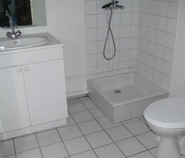Location appartement 1 pièce - 21m² à Saint orens de gameville (31650) - Photo 3