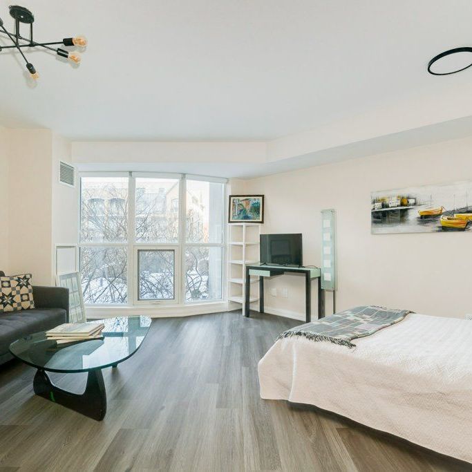 For Lease - 18 Beverley Street Unit# 327, Toronto, Ontario - Photo 1