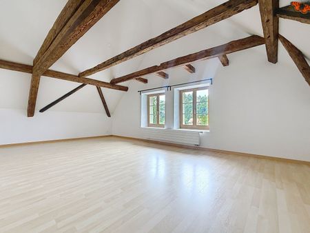 LUMINOUS 3 ½ ROOMS - With a seal in the attic! - Foto 2