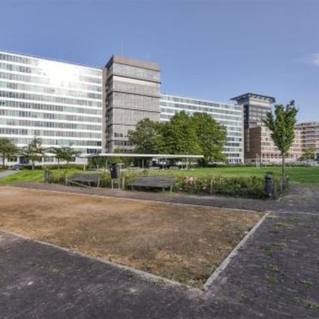 Bos en Lommerplantsoen 1055 Amsterdam - Foto 3