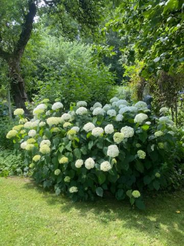 Großzügige 2-Zimmer Wohnung (mit Garten) in Tittling / OT Preming! - Photo 2