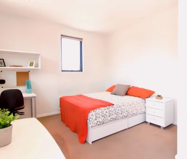 Large Studio - Photo 5