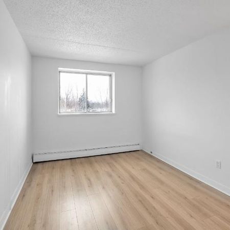 2 CH - 1 SDB - Québec - $1,249 /mo - Photo 4