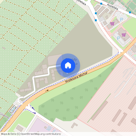 ul. Józefa Sowińskiego, Wojska Polskiego, Gliwice, śląskie