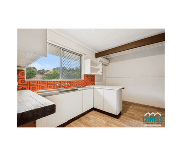 Tidy Studio & Large Backyard! - Photo 1