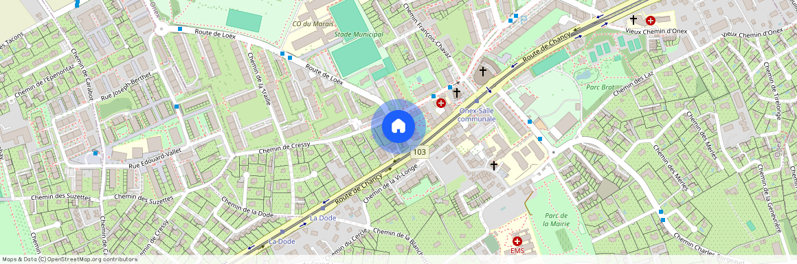 Chemin de l' Auberge 5, Onex