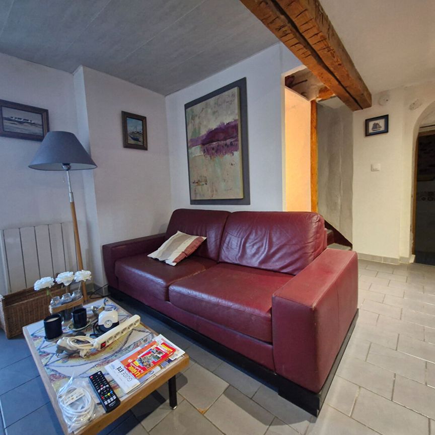 A LOUER T3 MEUBLE+TERRASSE CASCASTEL DES CORBIERES - Photo 1