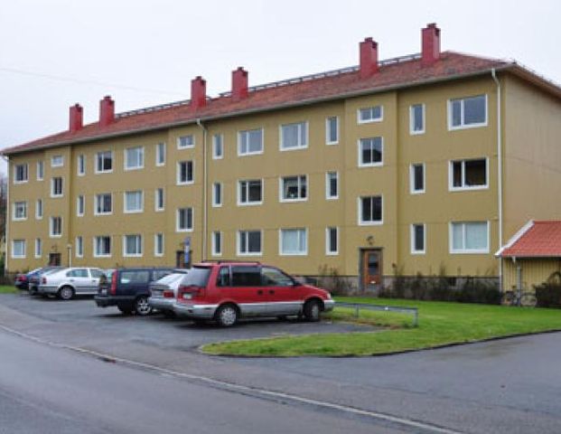 Erik Kuus Gata 2A - Foto 1