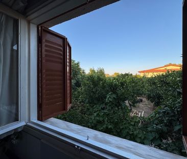 Διαμέρισμα για ενοικίαση Παραλία Μαρκόπουλου Ωρωπού (Μαρκόπουλο Ωρω... - Φωτογραφία 3