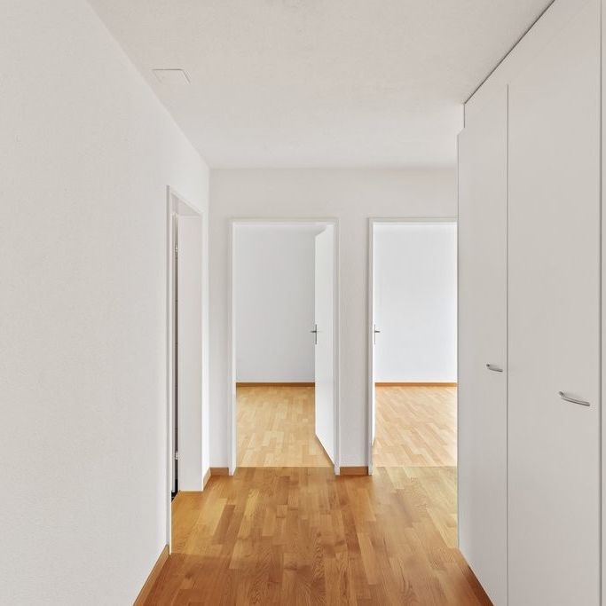 3 ½ Zimmer-Wohnung in Winterthur mieten - Foto 1