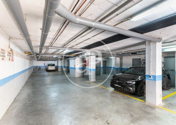 Apartment for Rent in Palma